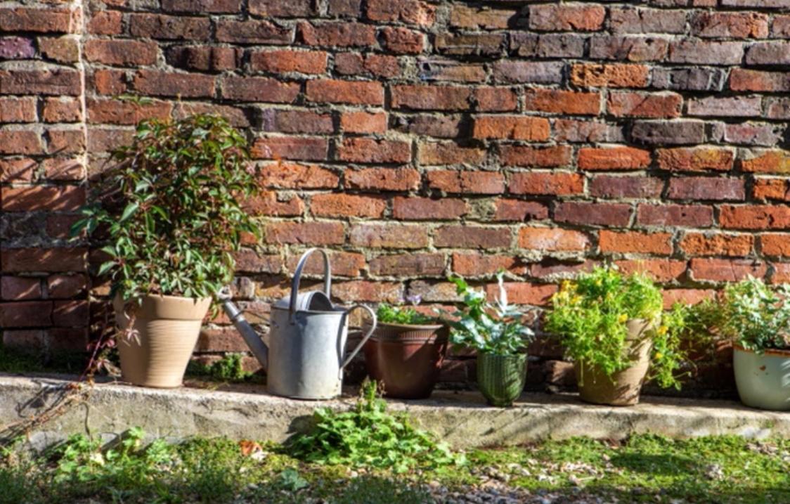 Bridport Garden Suite Bagian luar foto